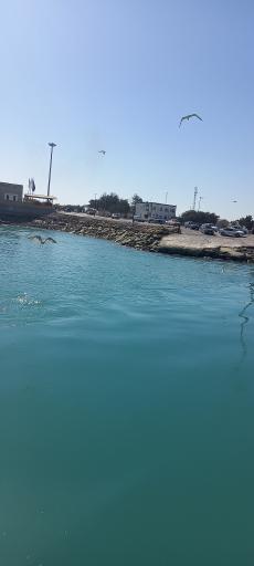 عکس ساحل خونسرخ