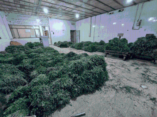 عکس سبزی فروشی احمد زاده