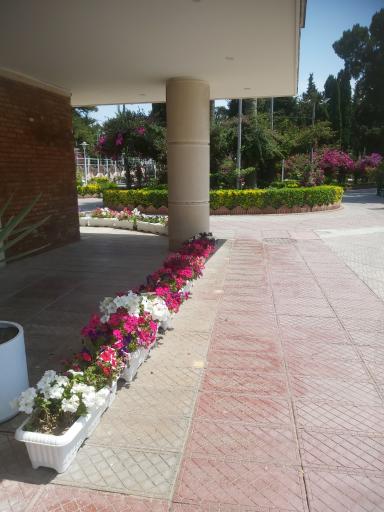 عکس مجتمع رفاهی پردیس بانک مسکن