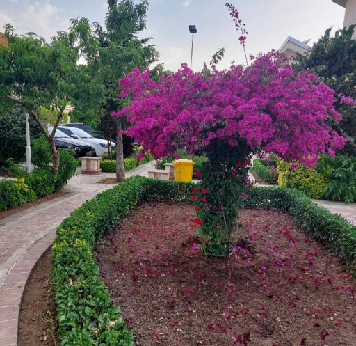 عکس مجتمع رفاهی پردیس بانک مسکن