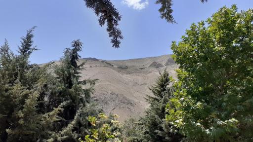 عکس آرامستان میگون