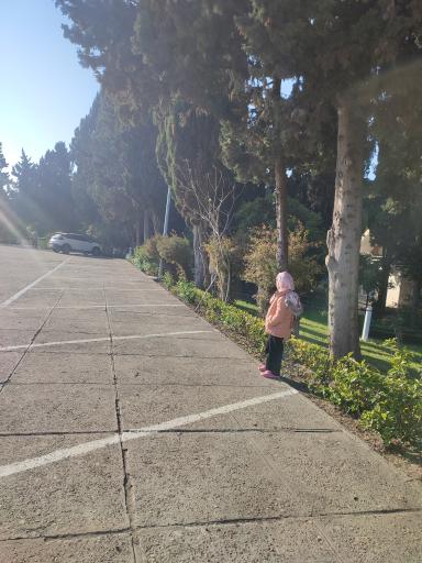 عکس مجتمع رفاهی پردیس بانک مسکن