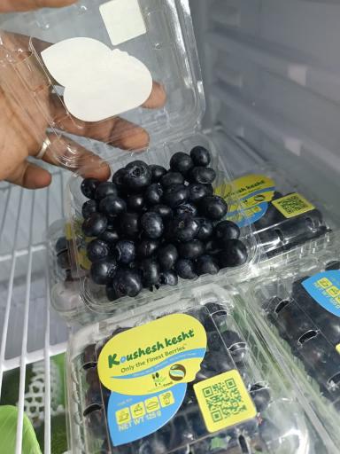 عکس میوه فروشی دستچین