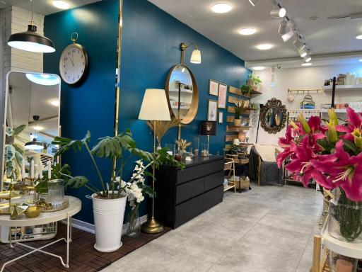 عکس لوازم خانه و آشپزخانه هوم لند