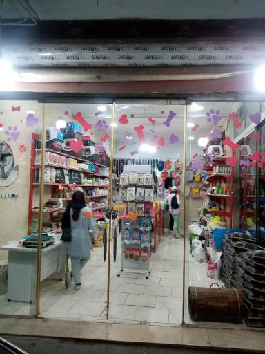 عکس پت شاپ دلسا