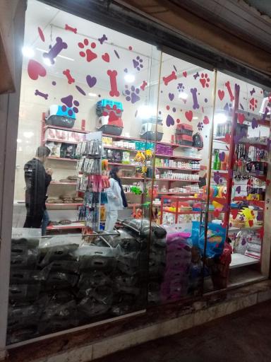 عکس پت شاپ دلسا