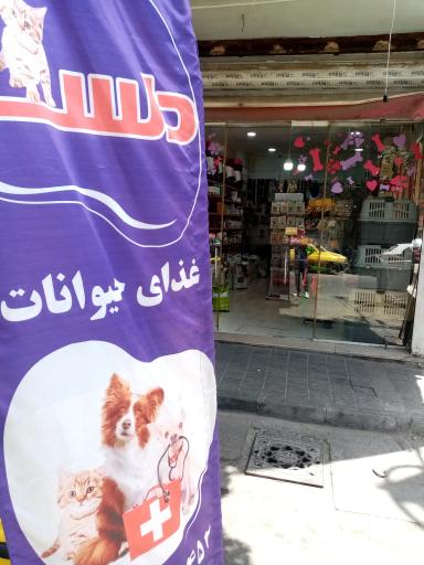 عکس پت شاپ دلسا