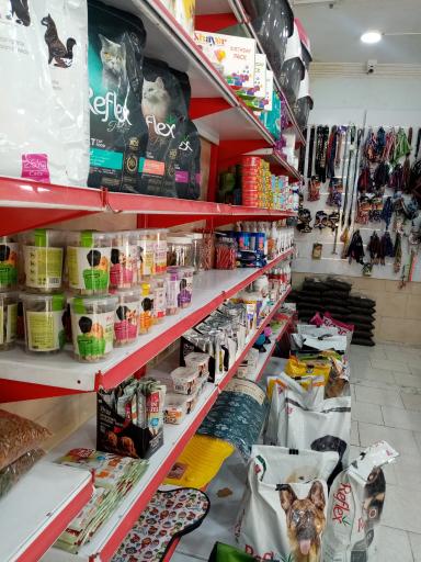 عکس پت شاپ دلسا