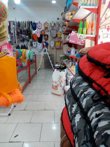 عکس پت شاپ دلسا