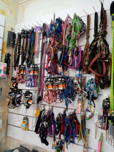 عکس پت شاپ دلسا