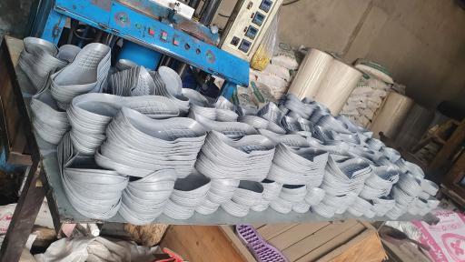 عکس زیره کفش پاوان