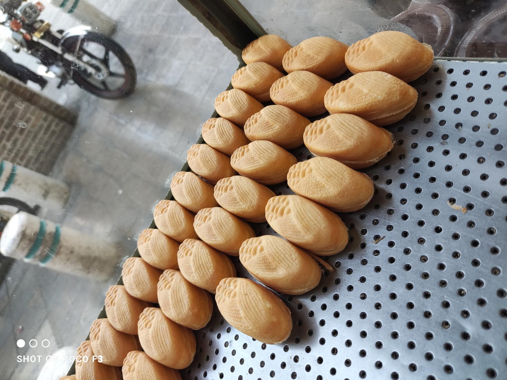 عکس دلی مانجو