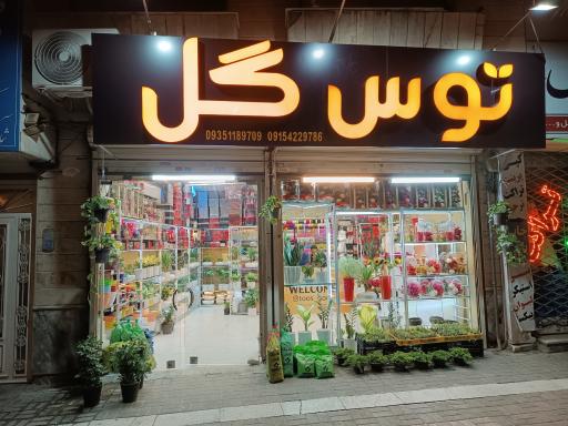 عکس گل فروشی توس گل