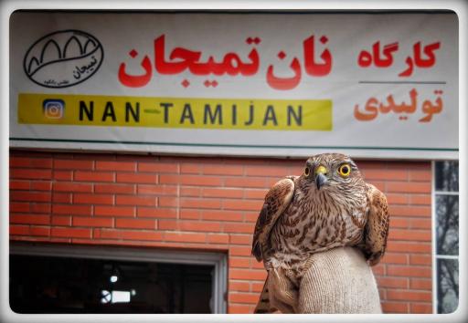 عکس نان تمیجان حاج رسول علیزاده