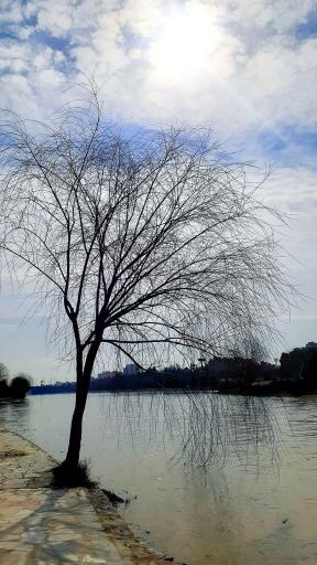 زاینده رود 