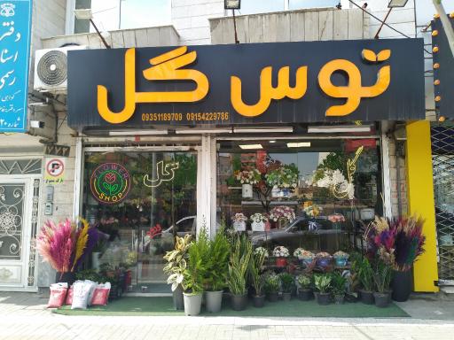 عکس گل فروشی توس گل