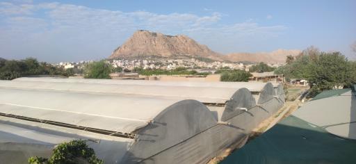 عکس مجموعه گردشگری کشاورزی باغ به