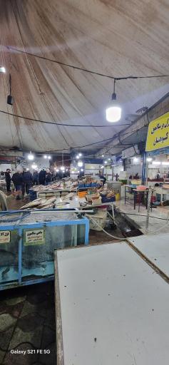 عکس بازار ماهی