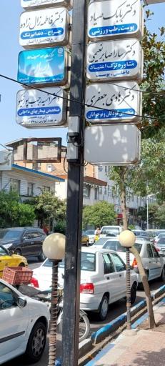 عکس دکتر بابک صیاد