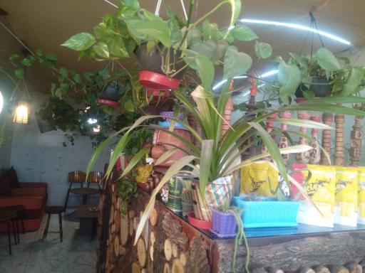 عکس کافه پاتوق