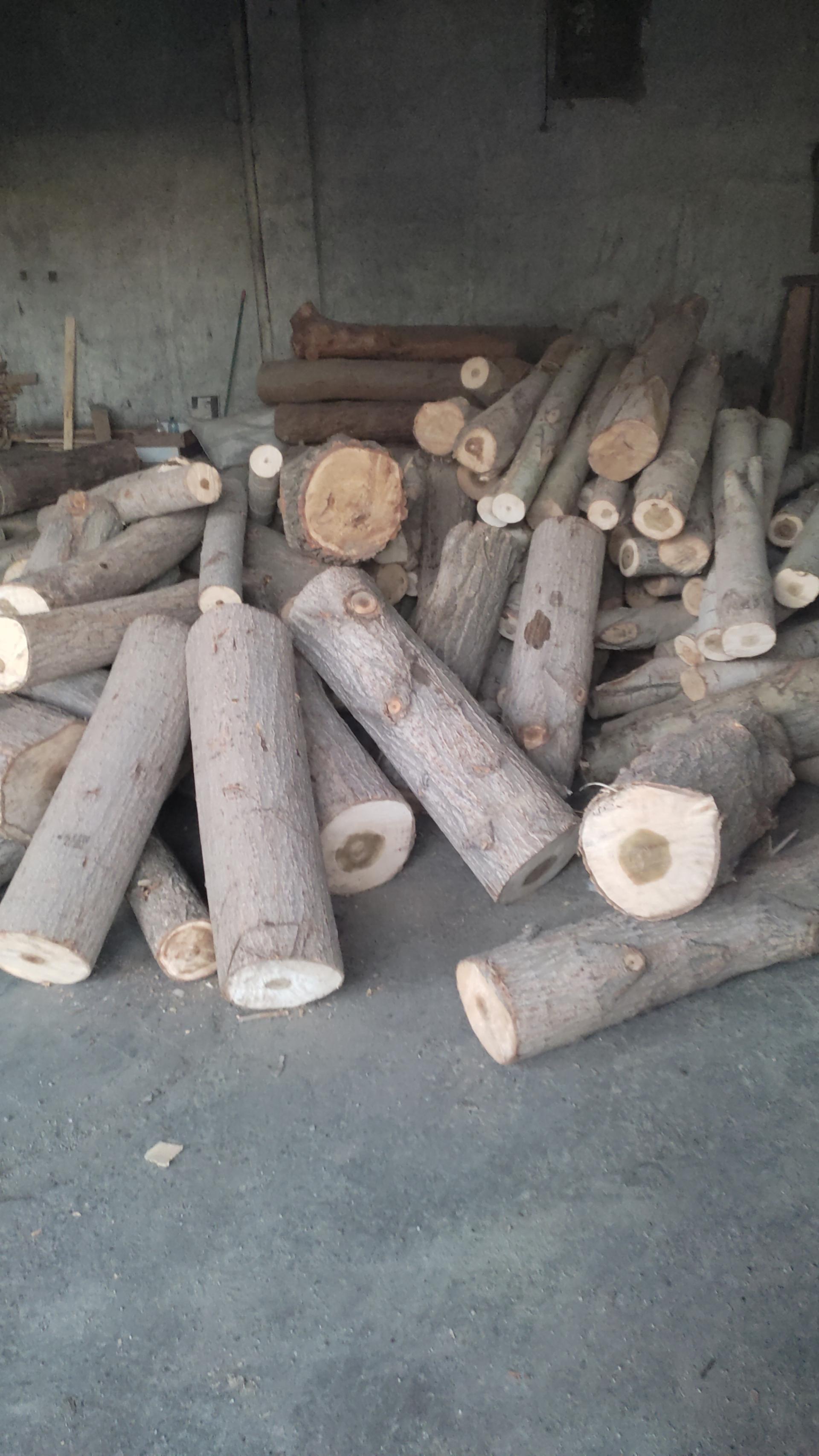 عکس پالت سازی بیستون