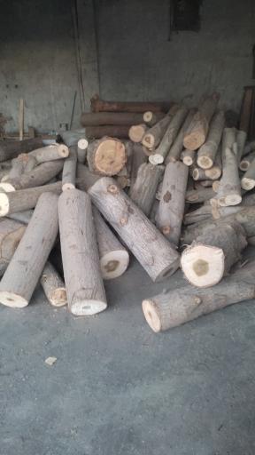 عکس پالت سازی بیستون