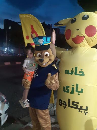 عکس خانه بازی پیکاچو