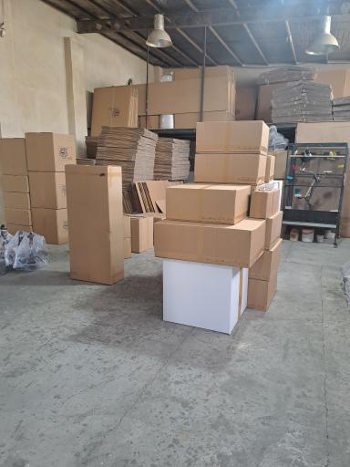 عکس رایدن لوستر