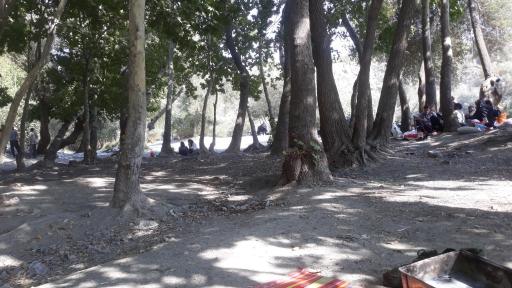عکس گزستان