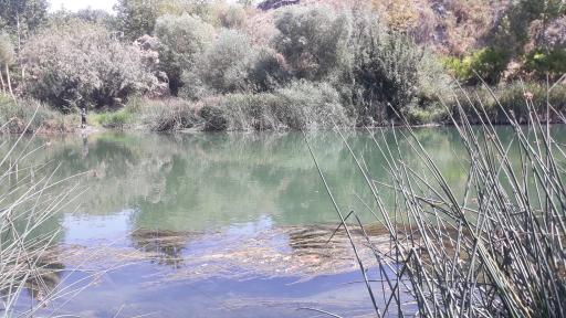 عکس گزستان