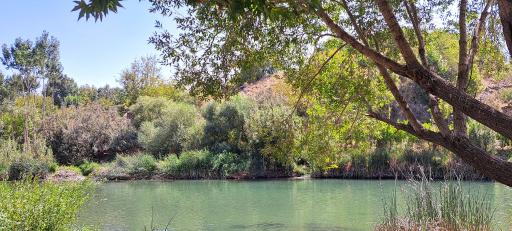 عکس گزستان