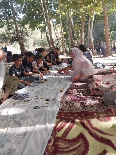 عکس گزستان