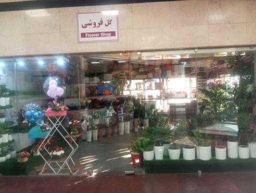 عکس گل فروشی