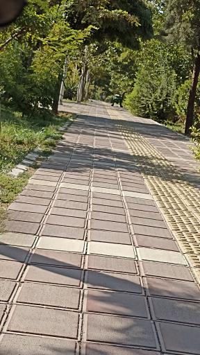 عکس بوستان نگار