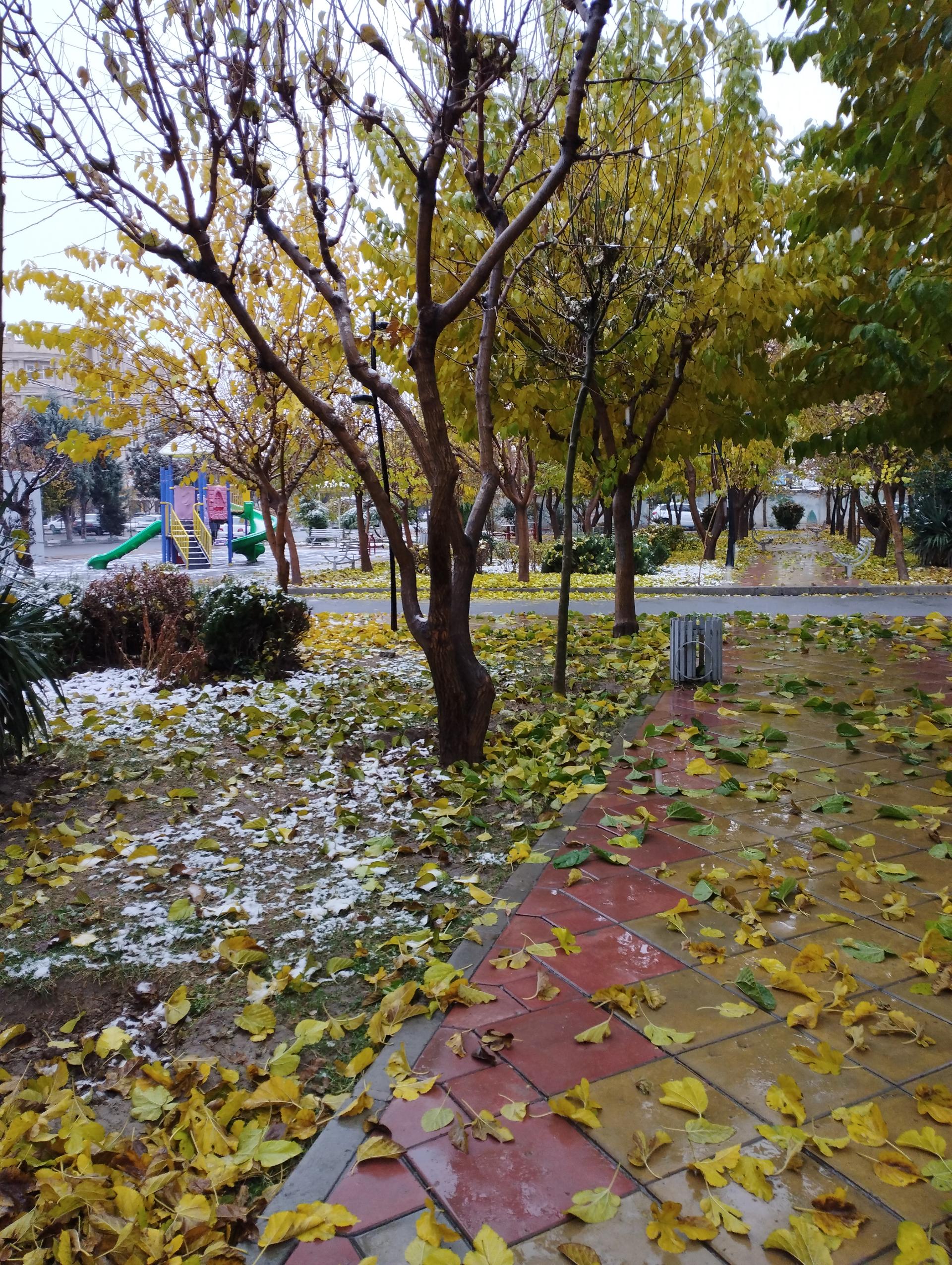 عکس بوستان فرهنگیان