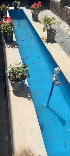 عکس رستوران شازده