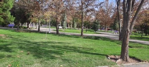 عکس بوستان شاهد (سیمرغ)