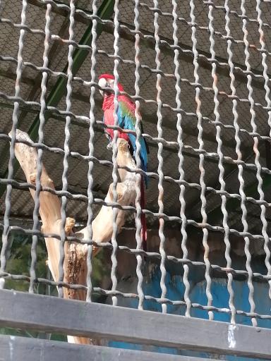 عکس باغ پرندگان و باغ وحش کاجستان