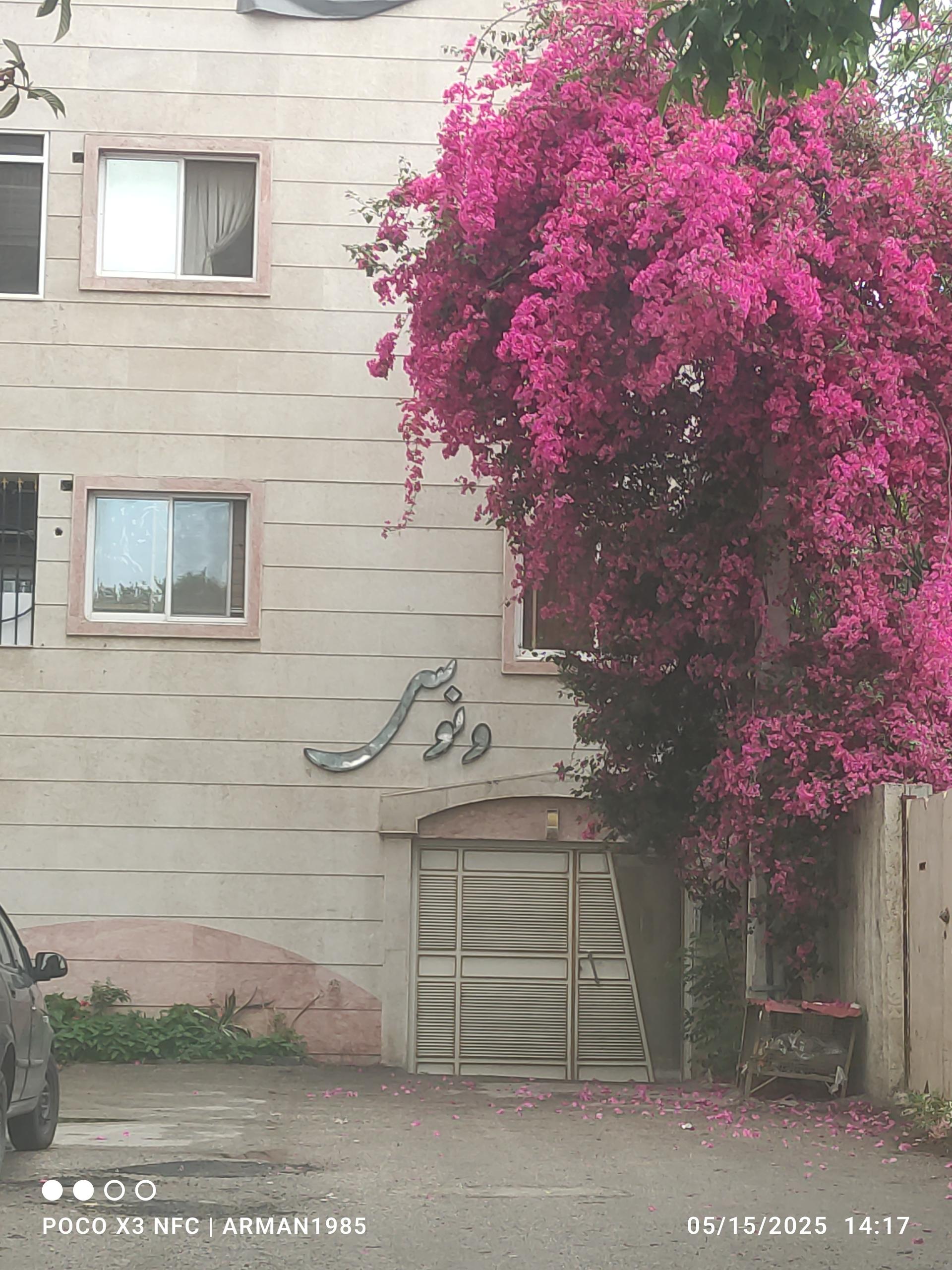 عکس مجتمع ونوس