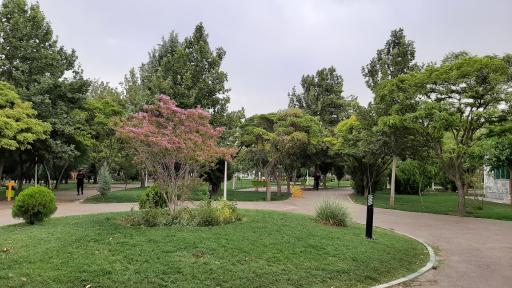 عکس بوستان شاهد (سیمرغ)