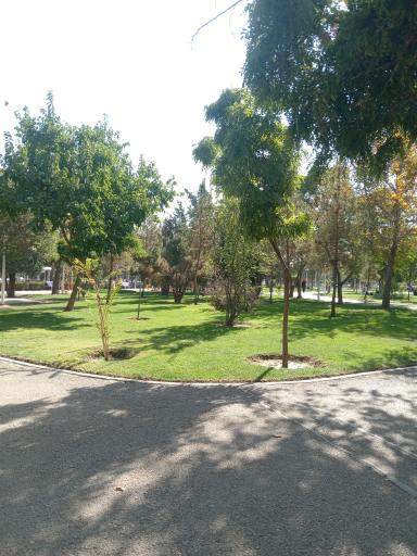 عکس بوستان شاهد (سیمرغ)