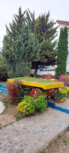 عکس رستوران خاطره خوش