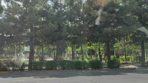 عکس بوستان شاهد (سیمرغ)