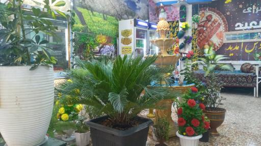 عکس کباب سرای سعید 