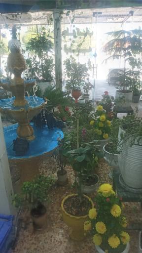 عکس کباب سرای سعید 