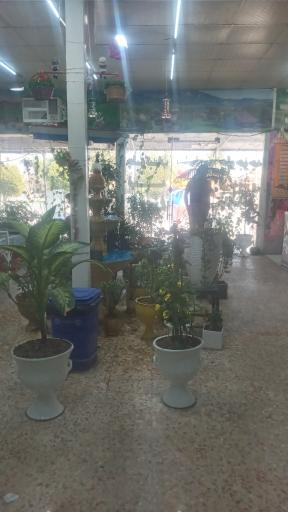 عکس کباب سرای سعید 