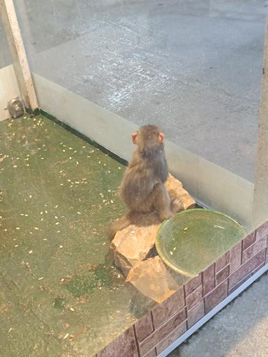 عکس نمایشگاه مارهای زنده