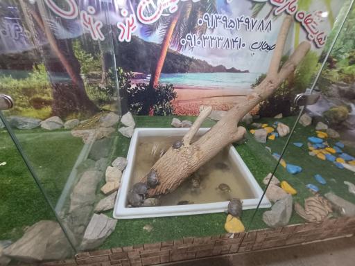 عکس نمایشگاه مارهای زنده