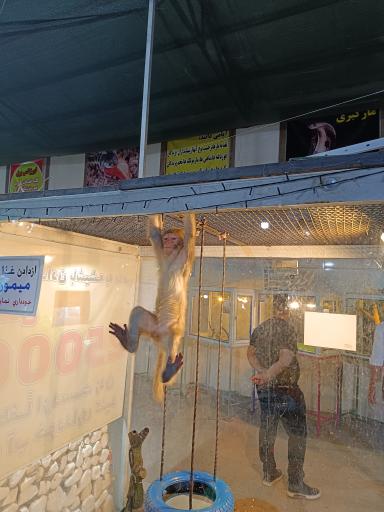 عکس نمایشگاه مارهای زنده