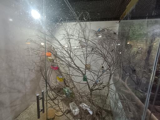 عکس نمایشگاه مارهای زنده